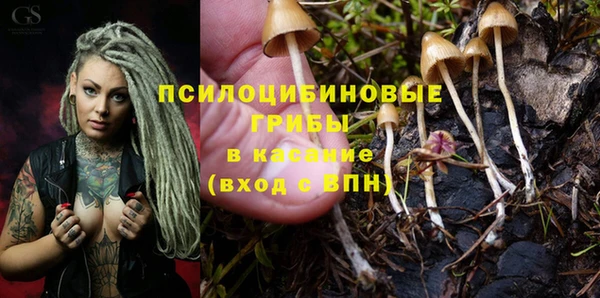 Альфа ПВП Инта