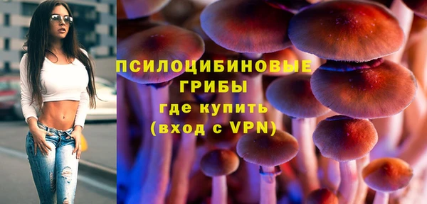 соль курить ск Инсар