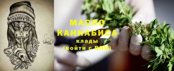 Альфа ПВП Инта